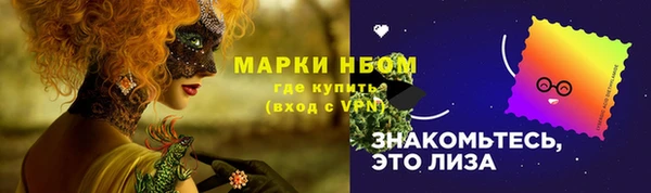 шишки Балахна