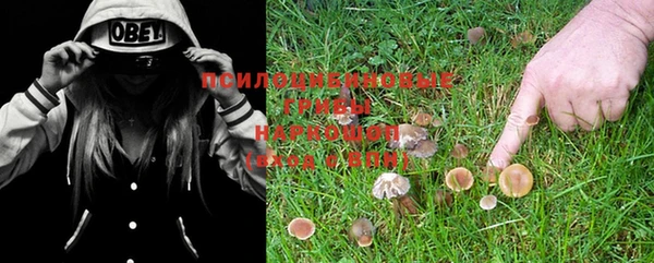 шишки Балахна