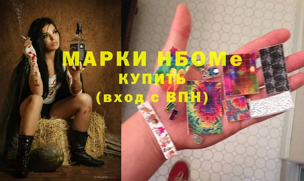 шишки Балахна