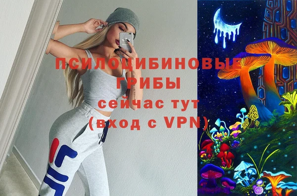 шишки Балахна