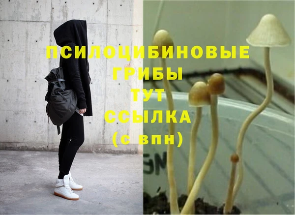не бодяженный Баксан
