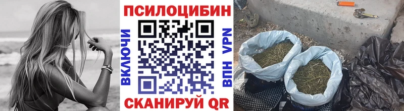 Псилоцибиновые грибы GOLDEN TEACHER  Купить где  Дивногорск 